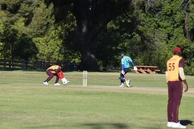 DSC_2352 (Large).JPG